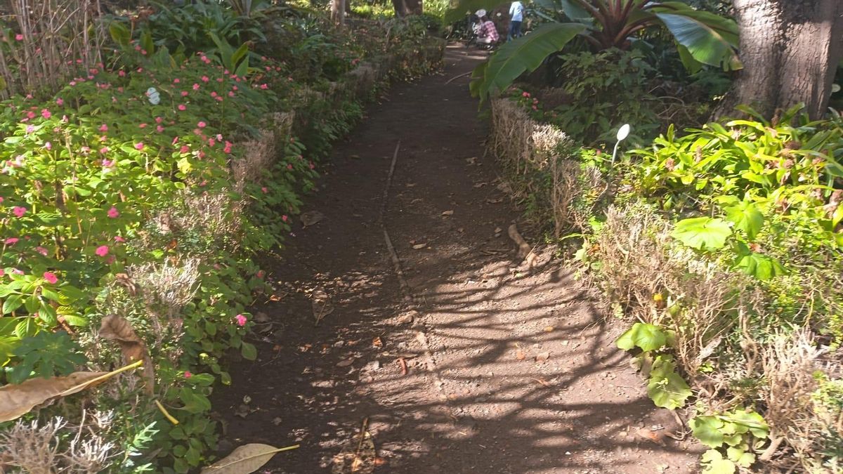 Estado de uno de los caminos en la Hijuela.