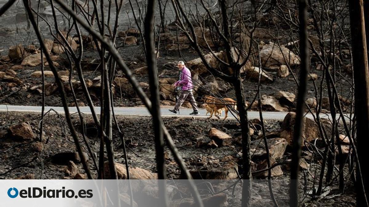 Un año de los incendios que cambiaron la forma de mirar el fuego en Galicia