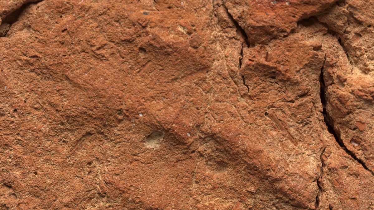 Detalle de los dedos de la huella de la mano del creador en la parte inferior de la casa del alma