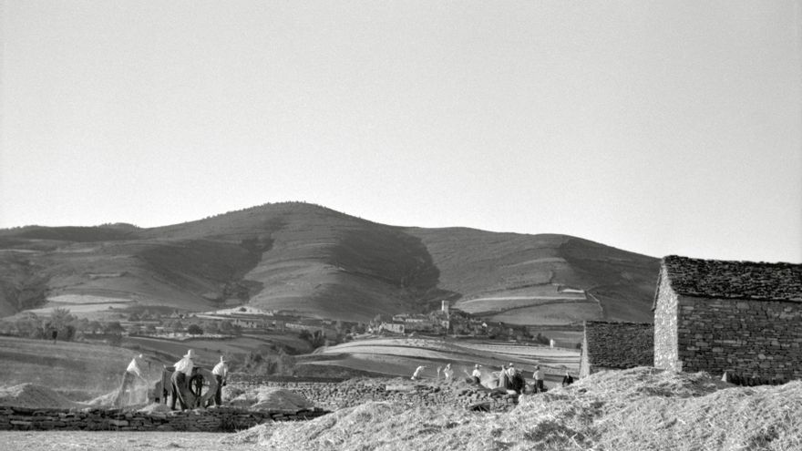 Trilla en Noves en 1946