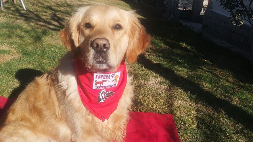 Summer, de Perros y Letras