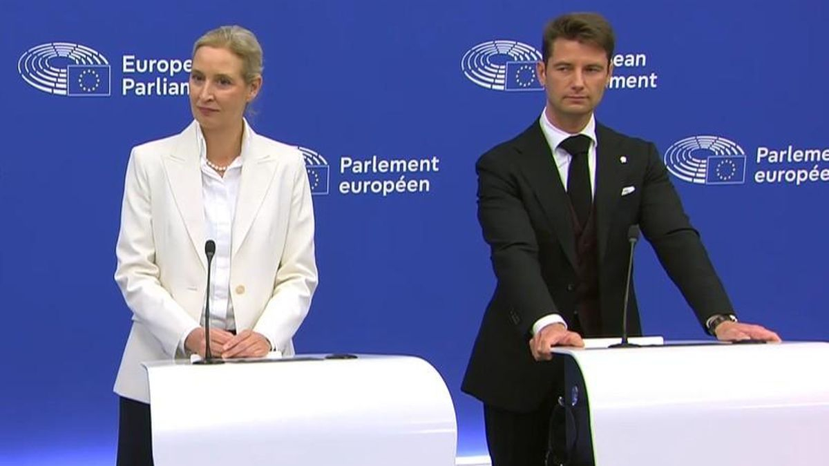 La líder de la ultraderecha AfD lleva a la Eurocámara su discurso antieuropeo contra el Estado del Bienestar