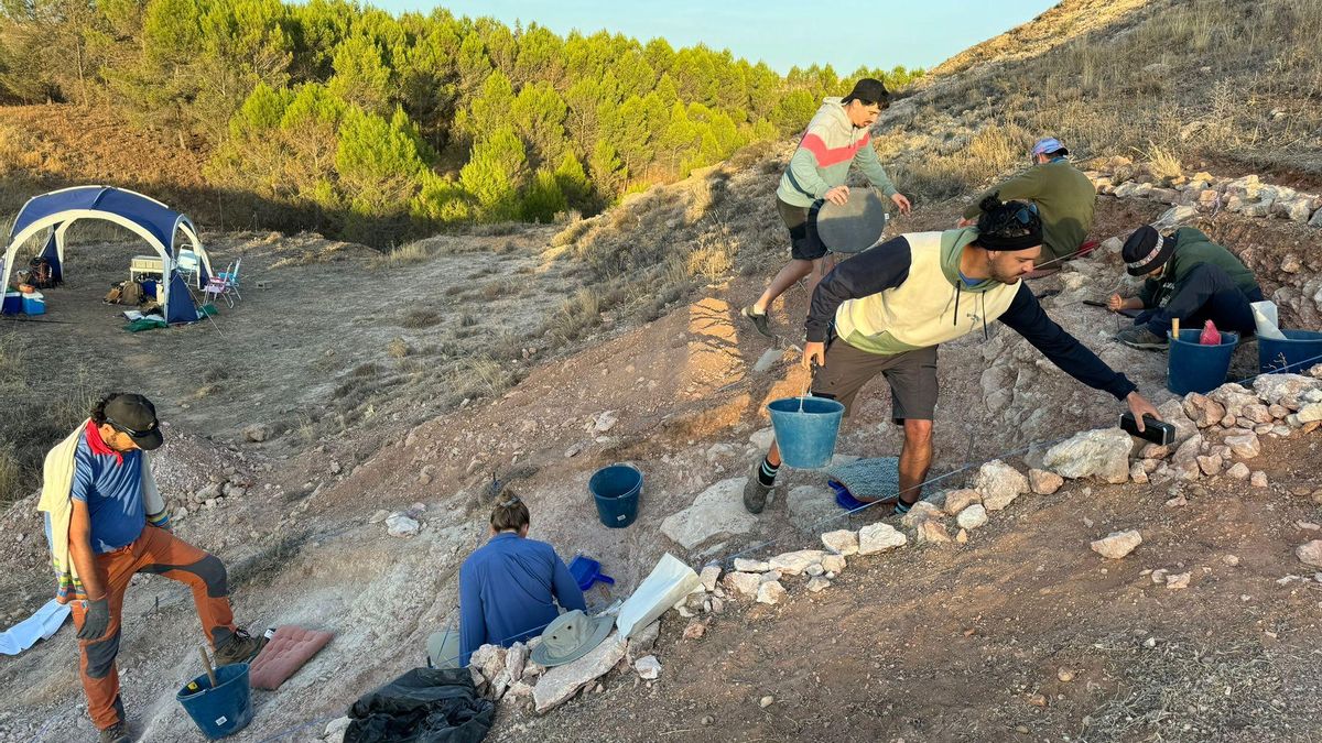 Equipo de investigación realizando trabajos en el yacimiento de Cerro Arenoso en Carrascosa del Campo (Cuenca) en 2024