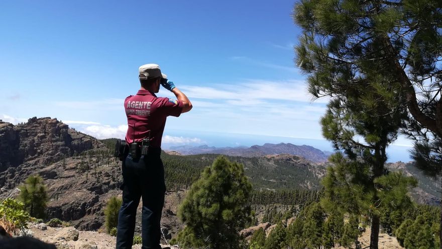 El Cabildo de Gran Canaria recibe medio centenar de llamadas por daños e invasión de propiedades el primer día de cacería con escopeta en la isla