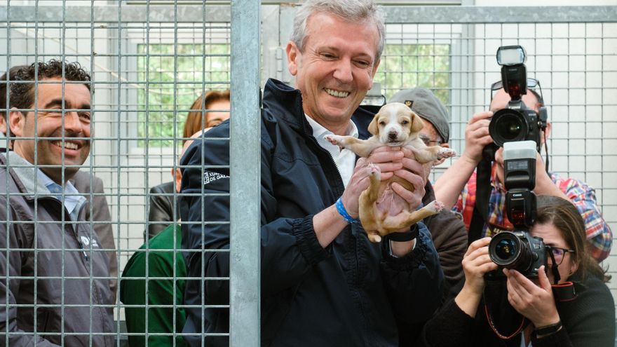 Bonos para turismo, compras, adopción de mascotas y dependientes: la política de cupones de la Xunta