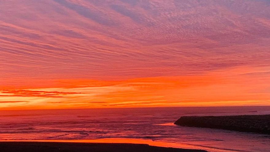 Humedales: tres historias sobre conservación y restauración de estos ecosistemas vitales para el planeta