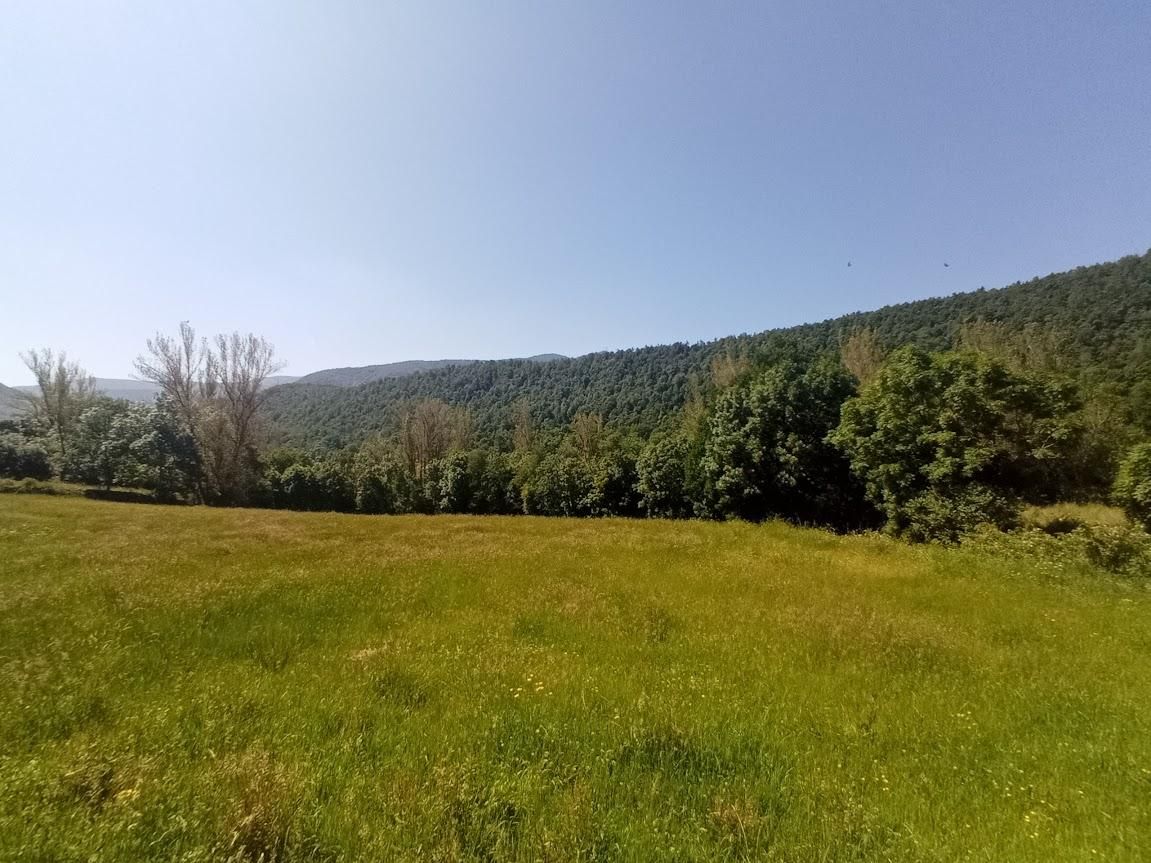 La naturaleza que rodea Sosas