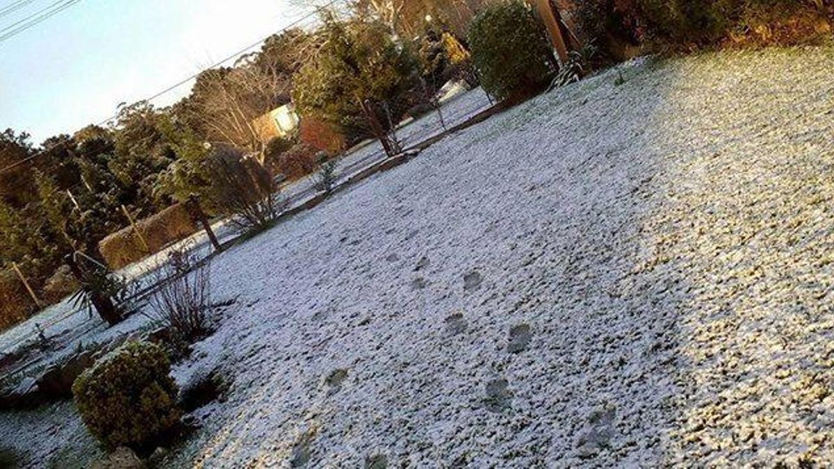 Ola polar: el frío extremo trajo nieve en la Costa y tiñó de blanco varias zonas del país
