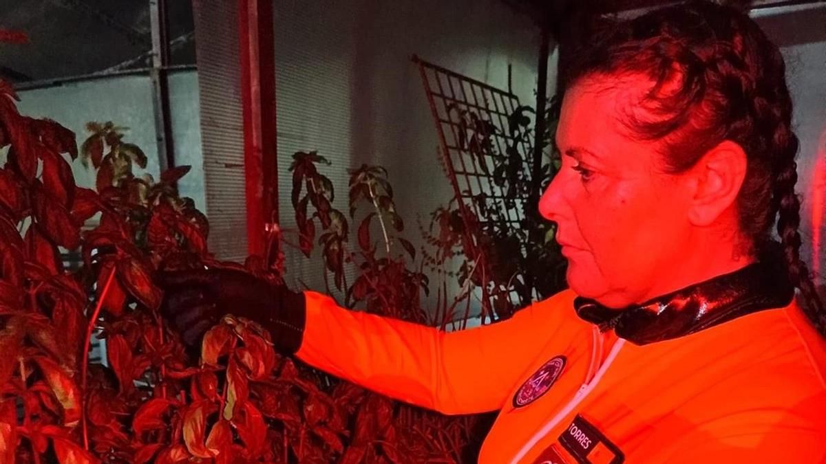 Agricultura espacial y beneficios de la luz circadiana, la tarea de la astronauta análoga cordobesa Mariló Torres