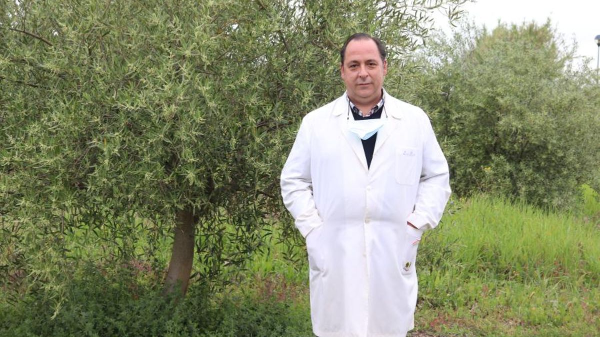 El catedrático de la UCO Luis Parras gana un prestigioso premio tras su investigación sobre el olivar y el cambio climático