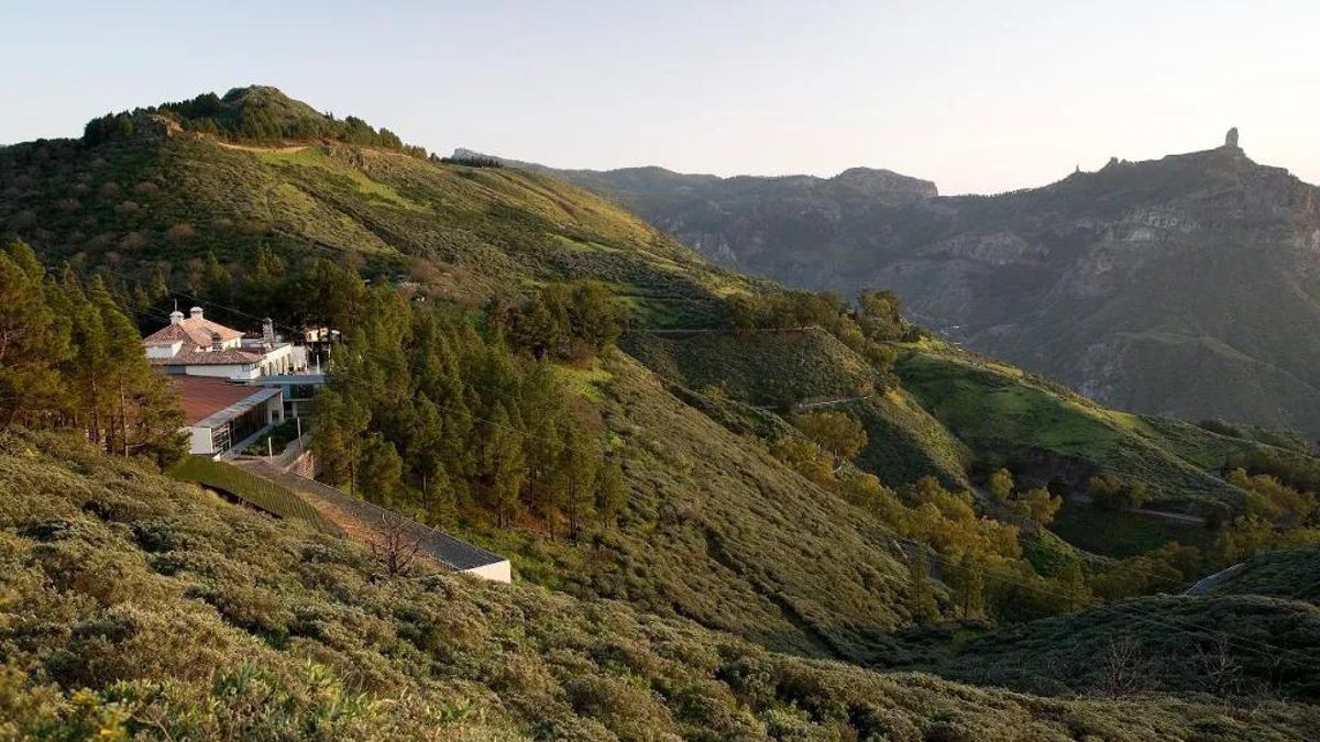 Los canarios eligen Canarias para sus vacaciones y desmontan varios tópicos sobre cómo viajan