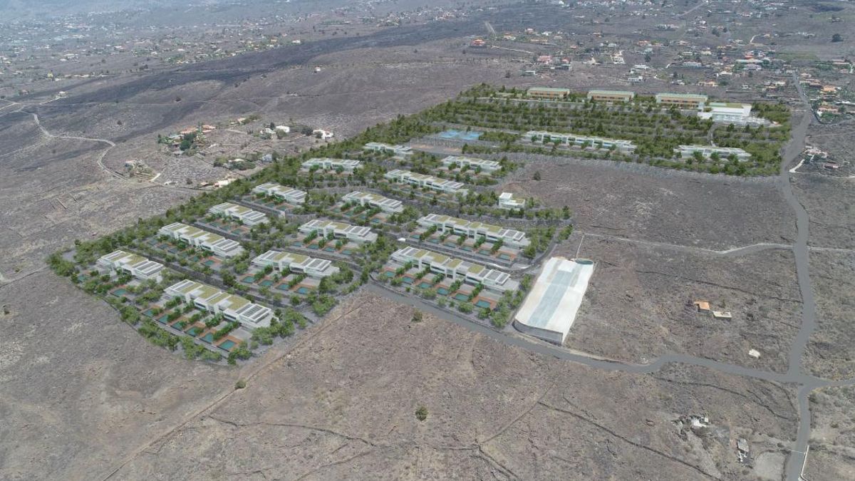 Infografía del proyecto Dichosa Wellness Clinic