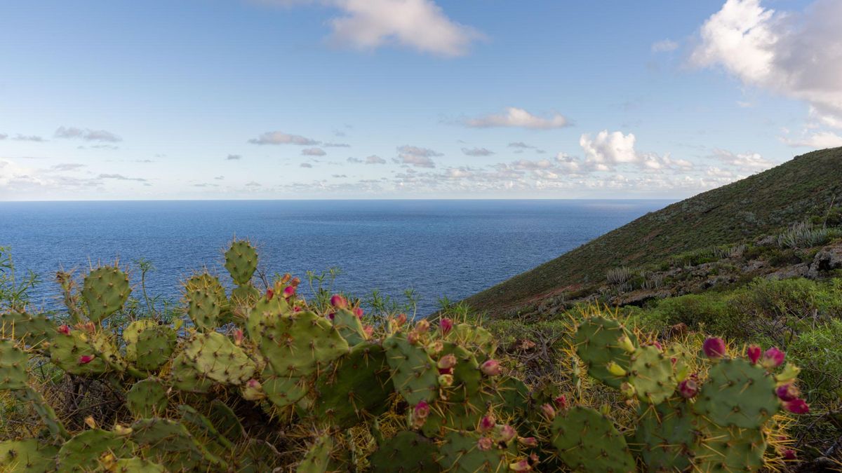 Vistas a la playa de Los Nogales, próxima al Parador de la Palma