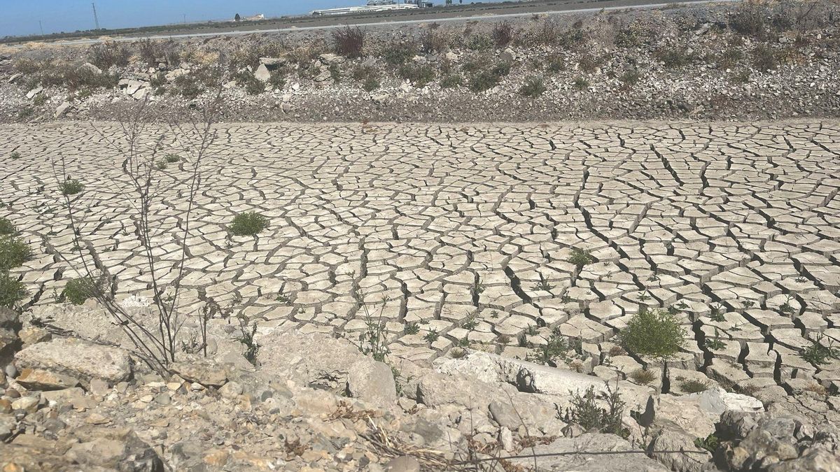 Un canal de riego del arroz seco por falta de agua.