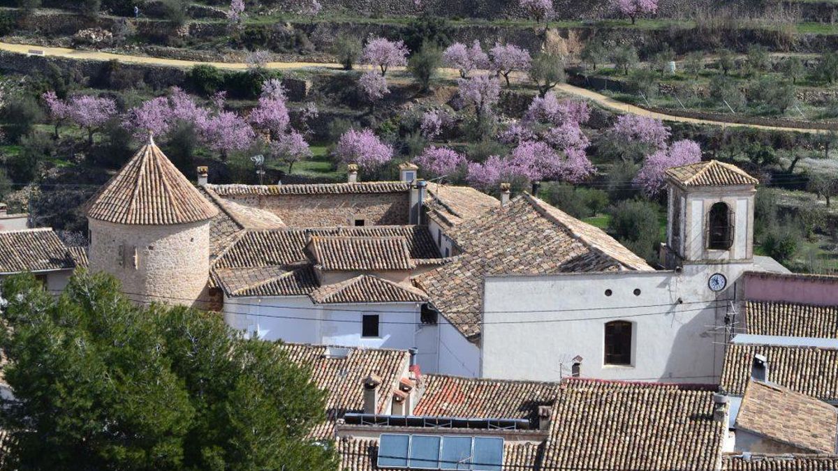Vista de Alcolecha con la torre del palacio de Malferit al fondo