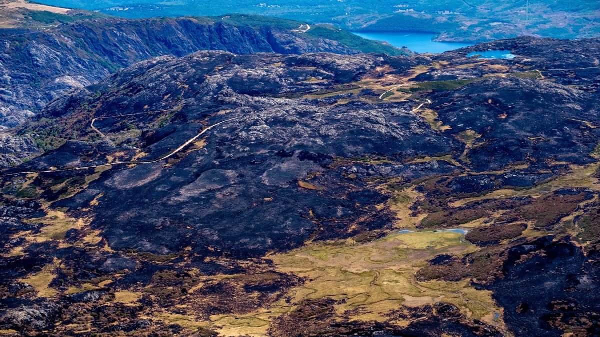 Los bomberos retiran el lodo con cenizas de los incendios que impedía el baño en la playa del Lago de Sanabria