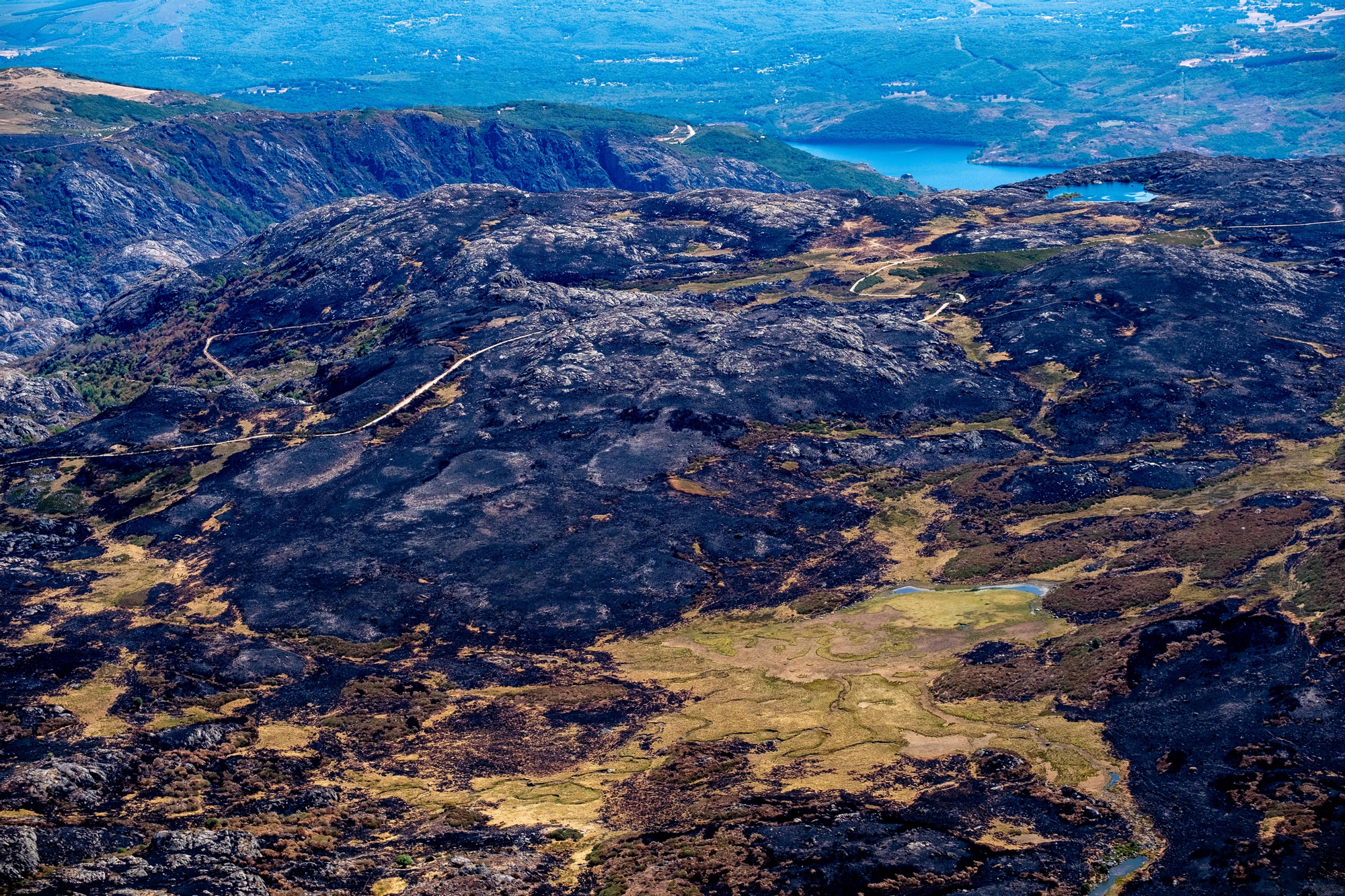 30 agosto 2025. Parque natural de lago de Sanabria y Sierras Segundera y de Porto. Greenpeace/ Pedro Armestre