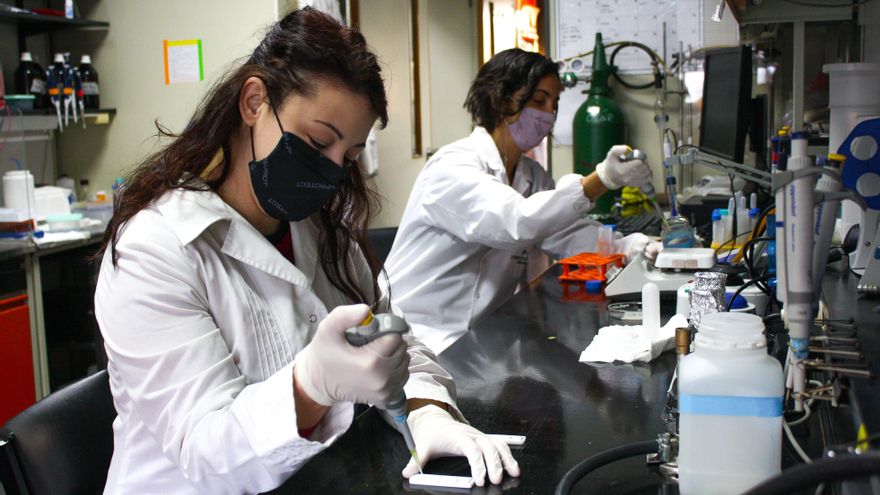 Coronavirus en Argentina: reportan 23 muertes y 2.382 contagios en las últimas 24 horas