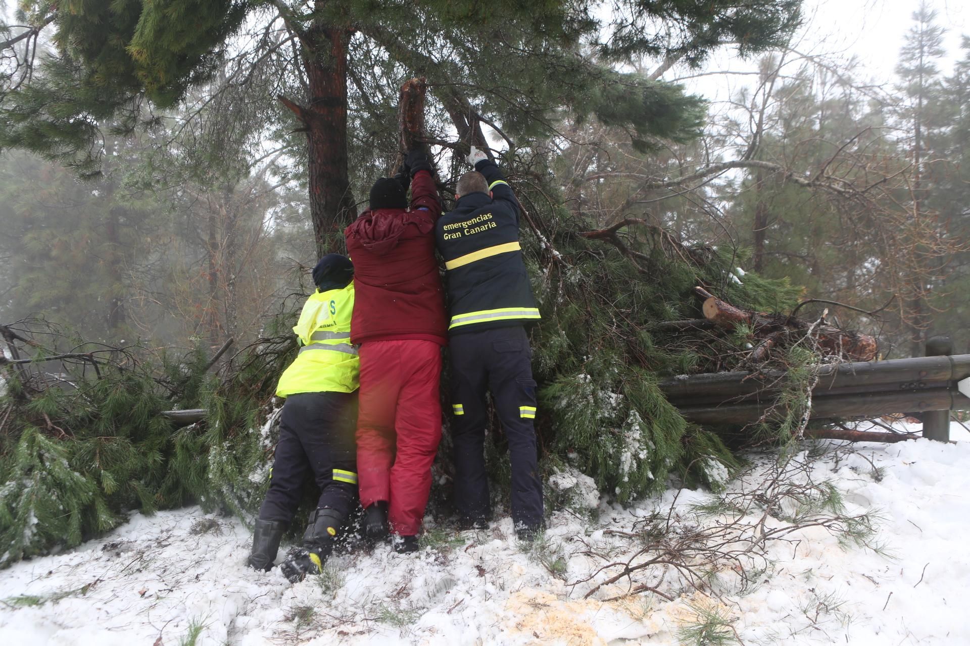 Jornada del sábado, 20 de febrero en la cumbre (Alejandro Ramos).