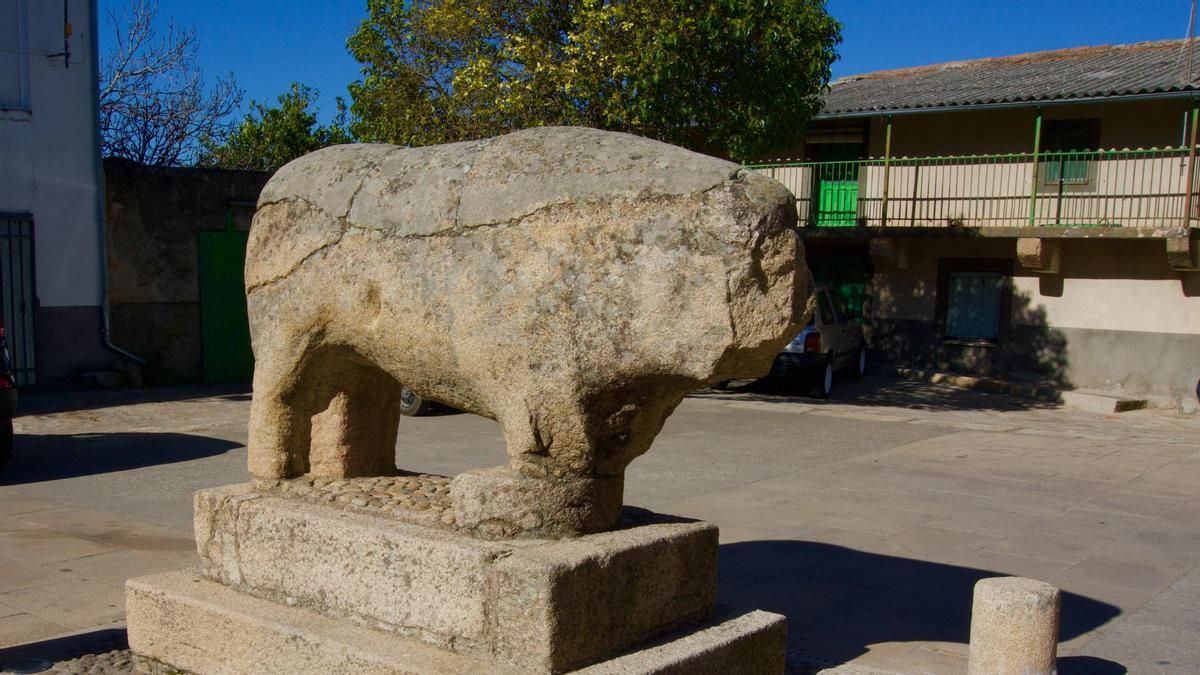 Toro vetón en Segura de Toro