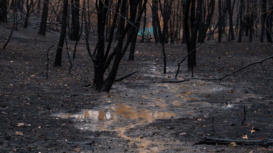 Zonas devastadas por el fuego en Verín (Ourense) tras la llegada de la lluvia
