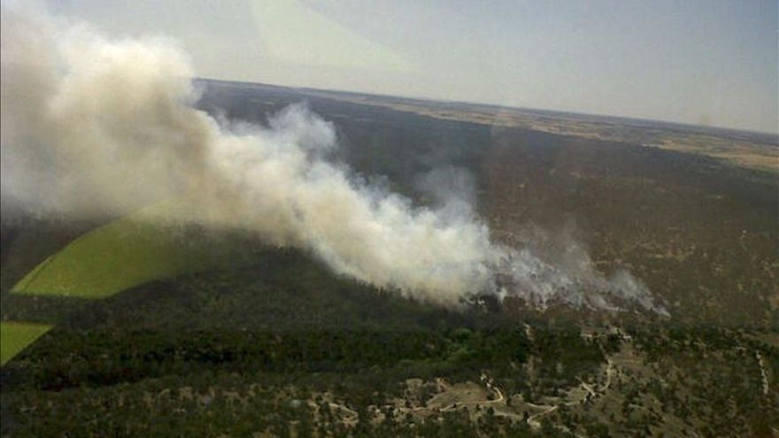 Los incendios forestales descienden un 80 por ciento en los primeros meses de 2013