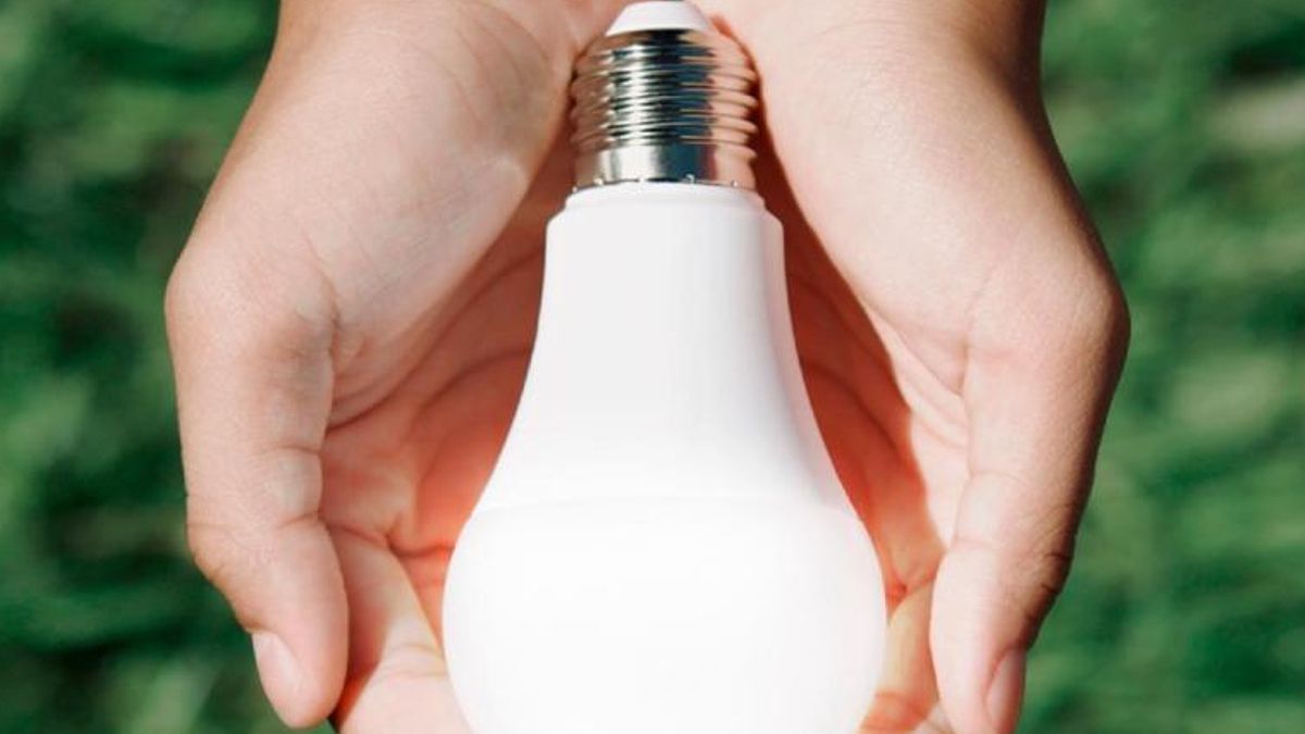 El número de beneficiarios del bono social de Endesa aumenta en Canarias hasta los 40.666 usuarios en 2024.