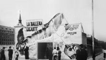 "Moby Dick, la ballena gigante": Madrid ya recibió la visita de una ballena en 1954... y no acabó bien