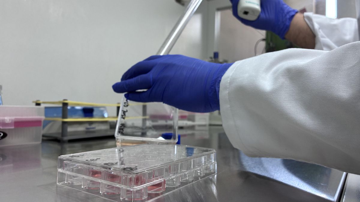 Una imagen en el laboratorio.