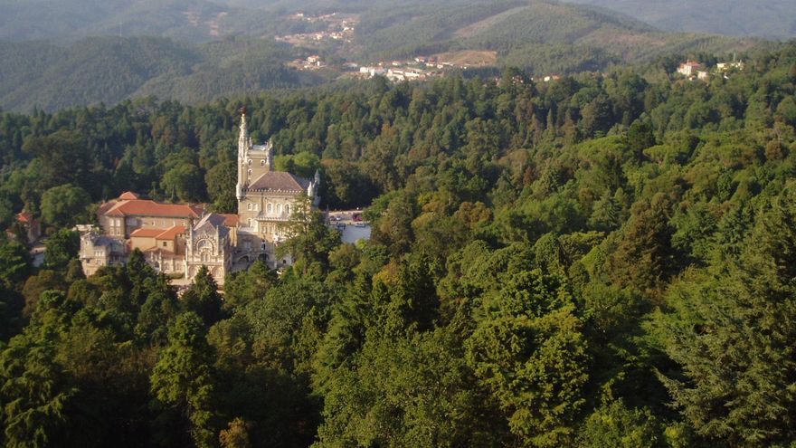La gran arboleda de Portugal que ha sido declarada como el primer bosque "terapéutico" de la Península Ibérica
