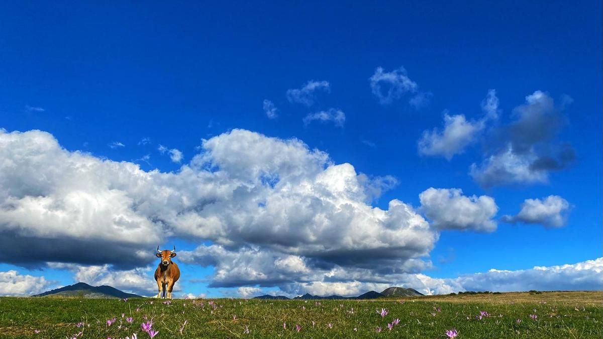 Cielo despejado en el Alto Sil, archivo.