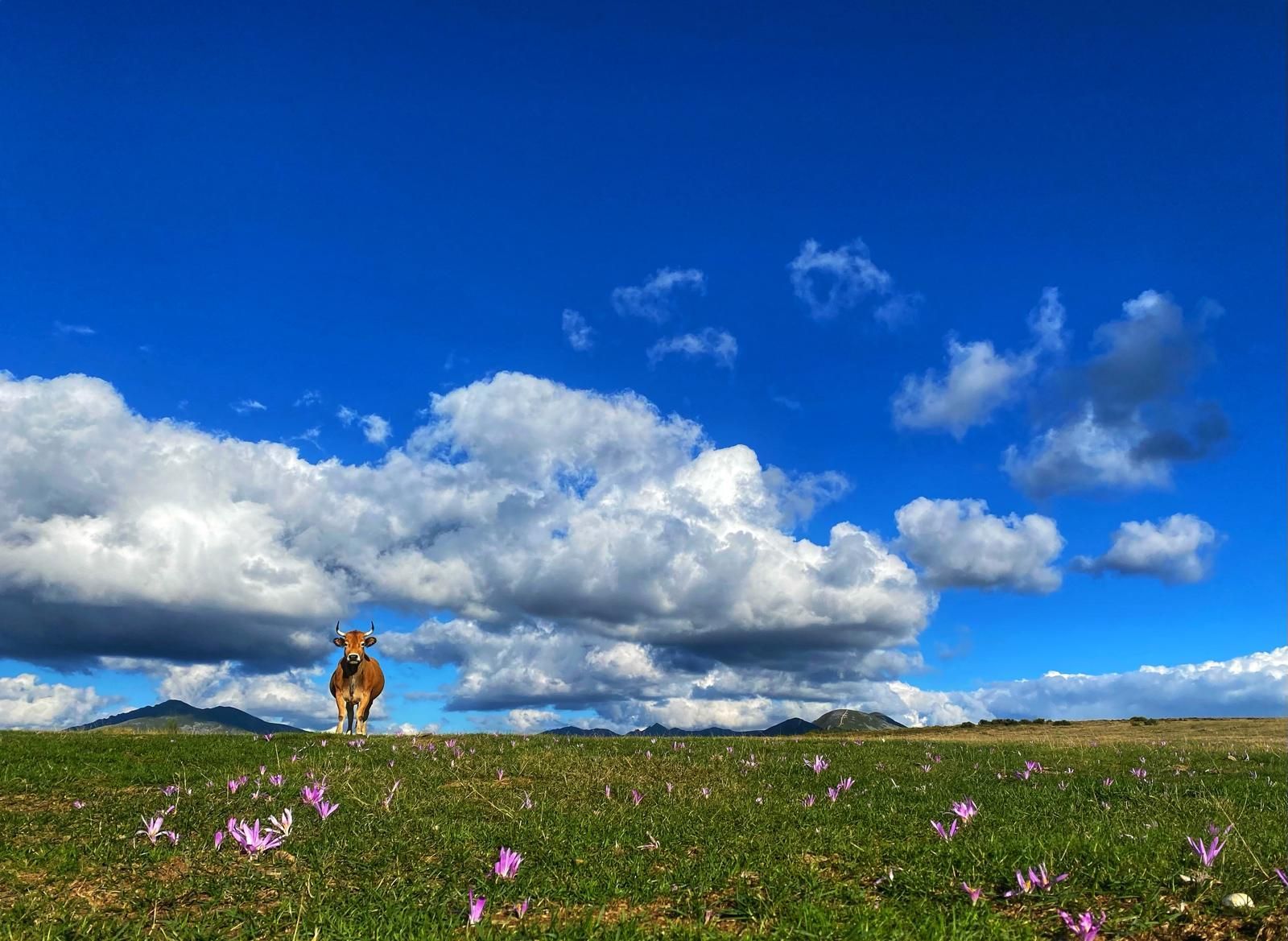 Cielo despejado en el Alto Sil, archivo.