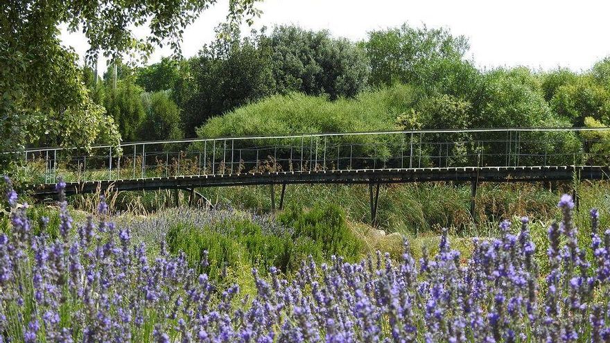 El Jardín Botánico de Castilla-La Mancha también se podrá disfrutar al anochecer