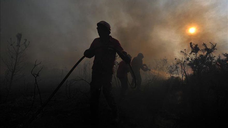 Declarado un incendio en las proximidades de Gata (Cáceres)
