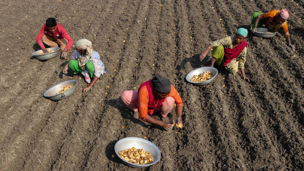 El Informe Global sobre Justicia: un Plan para la Igualdad y la Prosperidad dentro de los Límites Planetarios