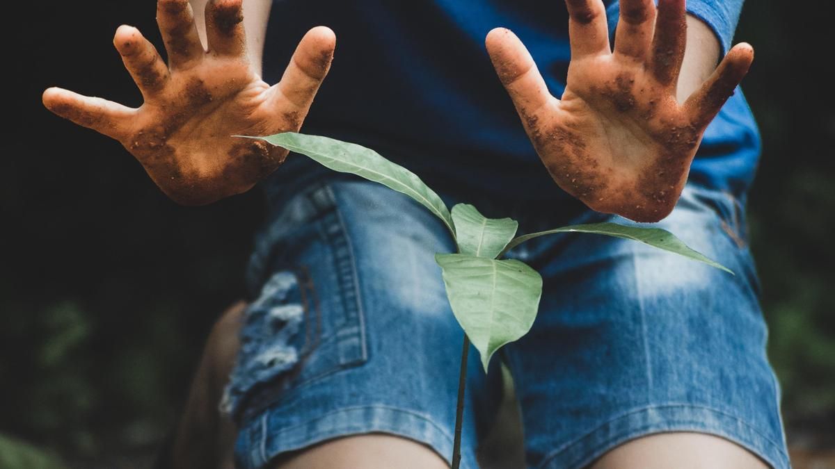 Alumnos del Bierzo participan en la recuperación de los montes tras los incendios del verano de 2025