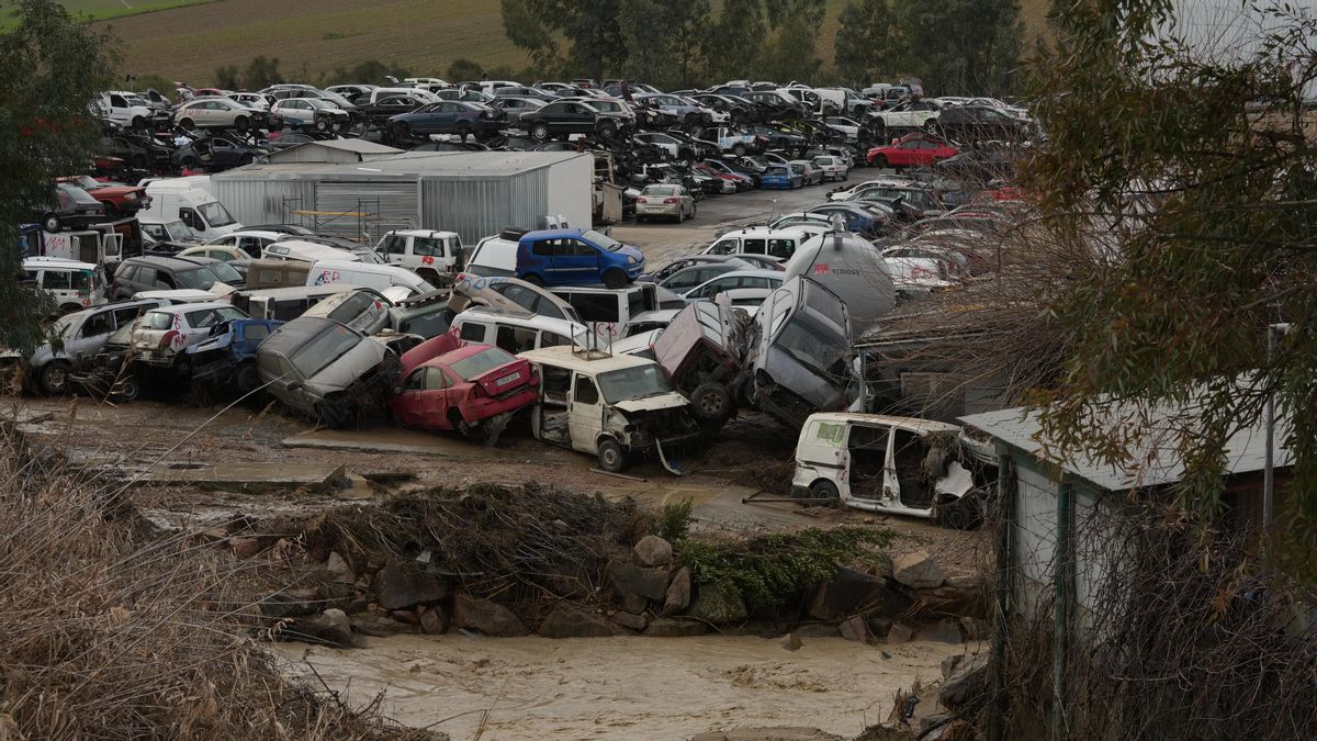 El desguace de la carretera de Granada, inundado por la crecida del Guadalquivir