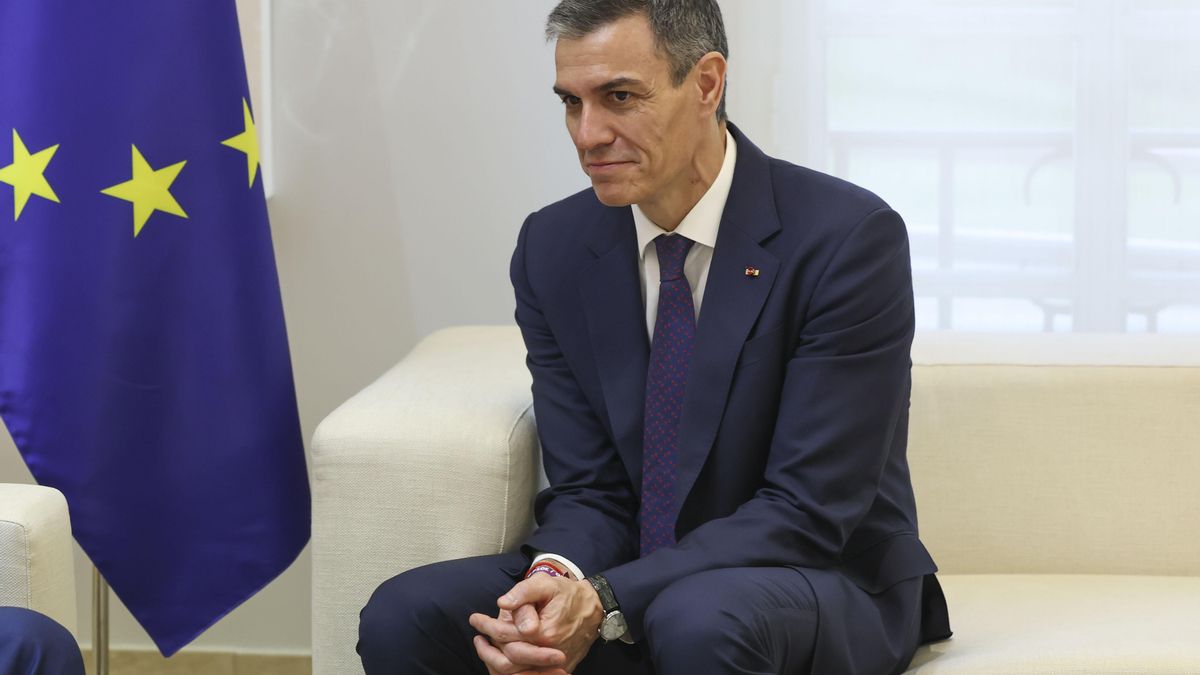 El enfermero bocazas y los genitales del perro