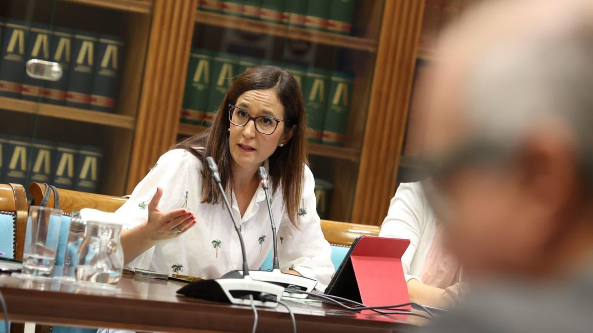Natalia Santana, diputada de Nueva Canarias.