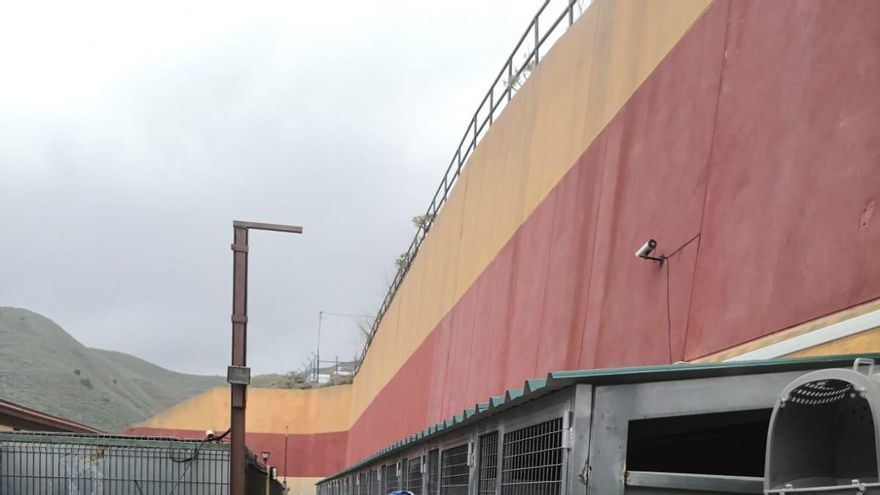 Los interesados en beneficiarse de este acogimiento temporal pueden llamar al teléfono 010 o presentar su solicitud a través del correo electrónico bienestaranimal@lalaguna.es.
