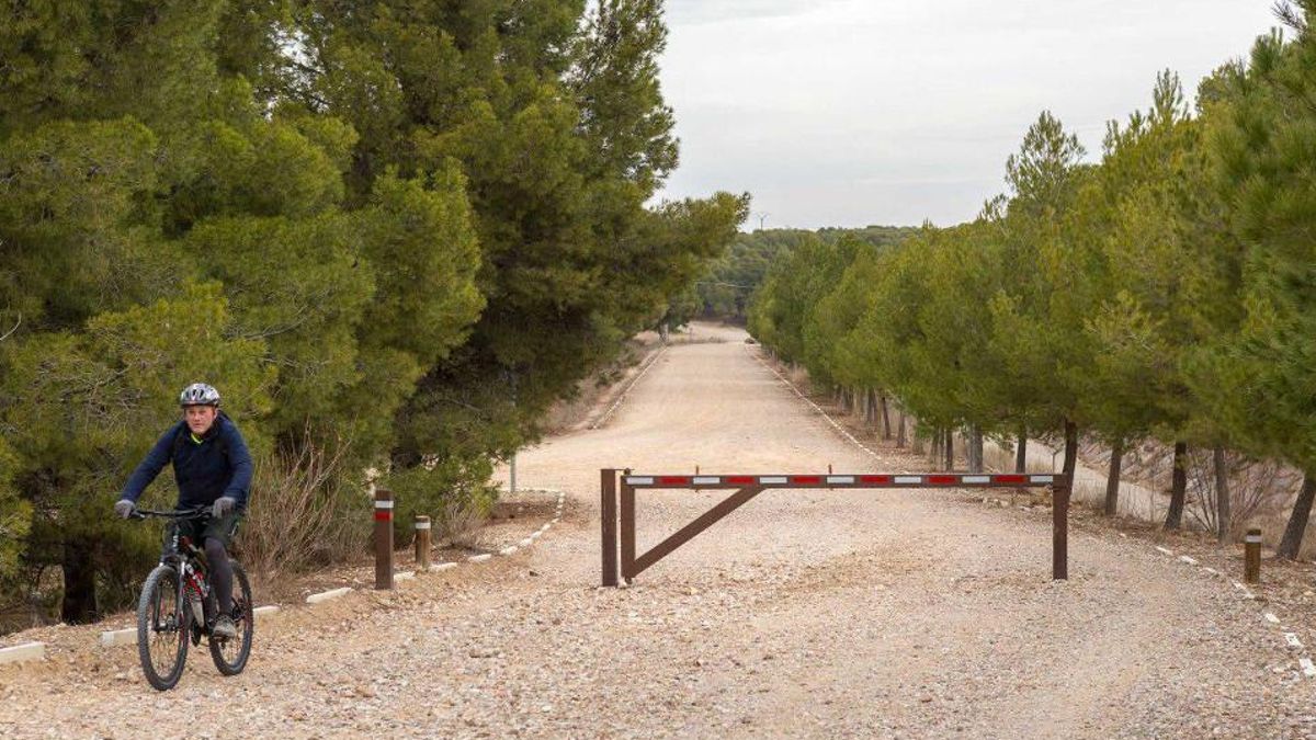 Los vecinos de Torrero (Zaragoza) activan su modo reivindicativo: tras las del Pilar, impulsan las Fiestas del Pinar