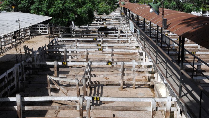 Los frigoríficos exportadores afinan una propuesta para bajar los precios y liberar las ventas externas