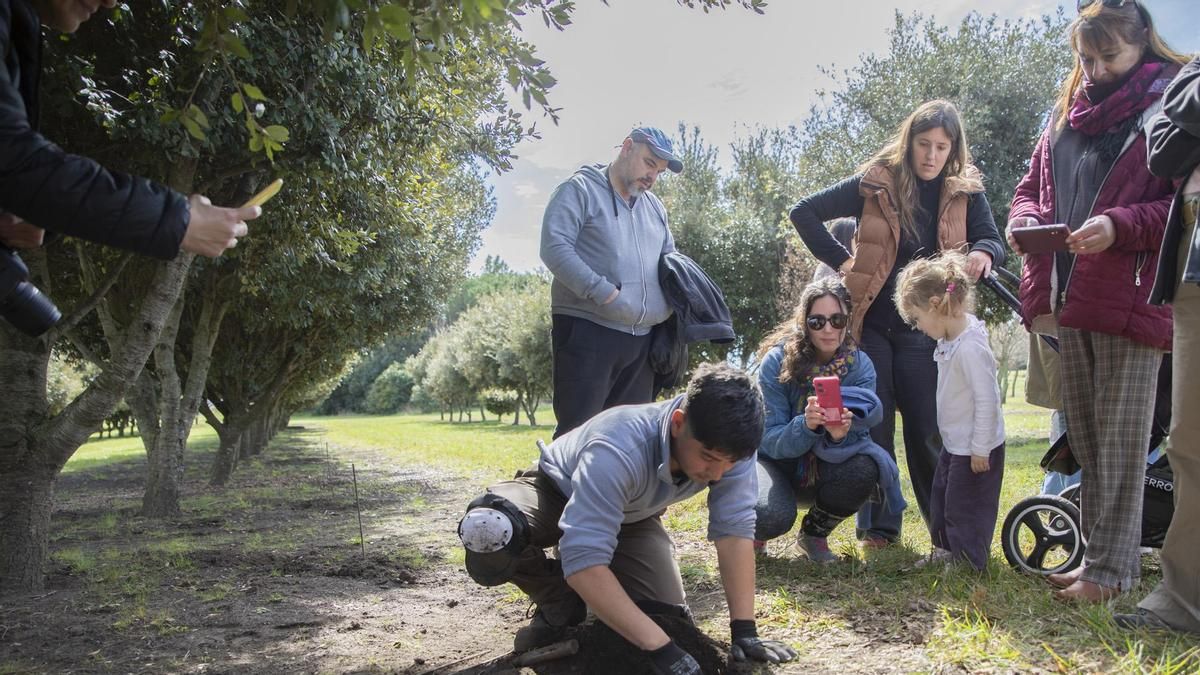 La experiencia más sorprendente del invierno bonaerense está escondida bajo tierra