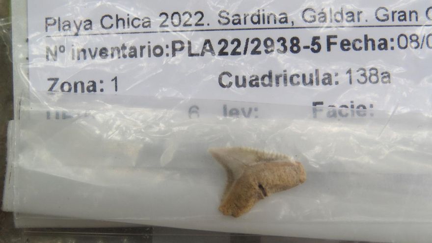 Una de las piezas halladas en la Cueva de la Playa Chica de Sardina