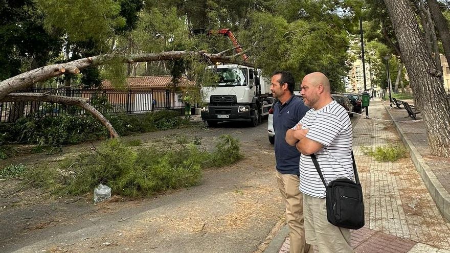 Albacete y Guadalajara cierran los parques ante las fuertes rachas de viento