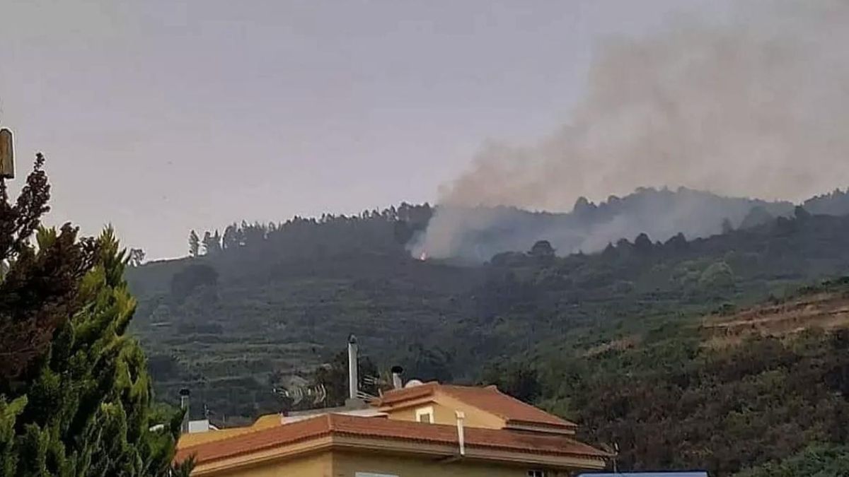 Cinco años de cárcel y 44.500 euros de multa para el autor del incendio forestal de 2023 en Los Realejos