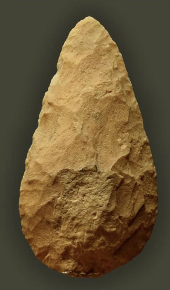 Los bifaces achelenses del Homo erectus muestran una organización formal que solo es posible mediante una imagen mental previa del objeto