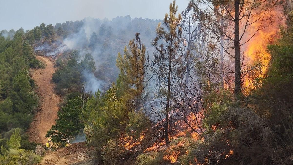 Incendio de las Hurdes