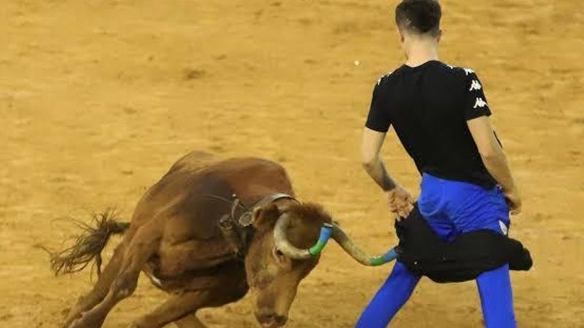 La gestora de la plaza de toros acusa a CARTV de engañar con las cifras de la negociación para emitir las vaquillas