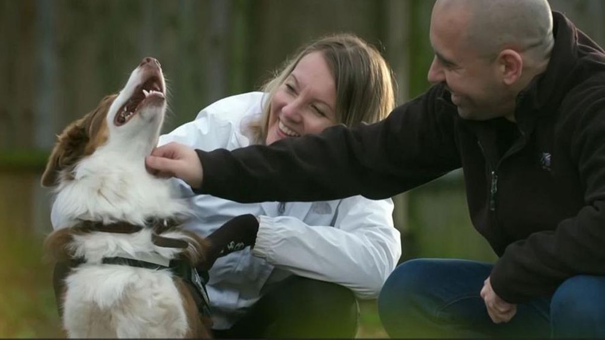 Imagen de 'Dog House'